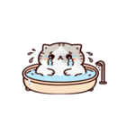 お風呂猫 どうしたらいいかわからない,（個別スタンプ：14）