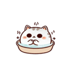 お風呂猫 どうしたらいいかわからない,（個別スタンプ：20）
