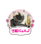 ベル❤️スタンプ（個別スタンプ：4）