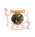 ベル❤️スタンプ（個別スタンプ：5）