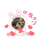 ベル❤️スタンプ（個別スタンプ：7）