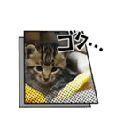 ベル❤️スタンプ（個別スタンプ：12）