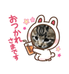 ベル❤️スタンプ（個別スタンプ：13）