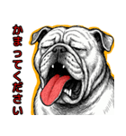 ぶるどっぐの叫び【敬語・日常挨拶】（個別スタンプ：34）