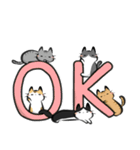 猫を集めてみました。（個別スタンプ：2）