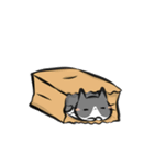 猫を集めてみました。（個別スタンプ：3）
