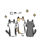 猫を集めてみました。（個別スタンプ：4）