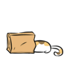 猫を集めてみました。（個別スタンプ：9）