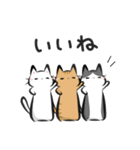 猫を集めてみました。（個別スタンプ：10）