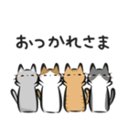 猫を集めてみました。（個別スタンプ：13）