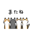 猫を集めてみました。（個別スタンプ：16）