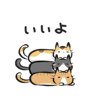 猫を集めてみました。（個別スタンプ：17）