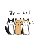 猫を集めてみました。（個別スタンプ：19）