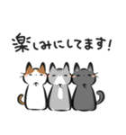 猫を集めてみました。（個別スタンプ：20）