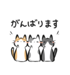 猫を集めてみました。（個別スタンプ：23）