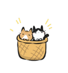 猫を集めてみました。（個別スタンプ：24）
