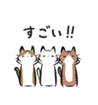 猫を集めてみました。（個別スタンプ：26）