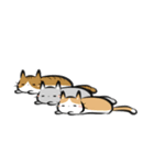 猫を集めてみました。（個別スタンプ：32）