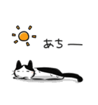 猫を集めてみました。（個別スタンプ：38）