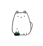 かわいいサモエド - ヤンヤン（個別スタンプ：1）