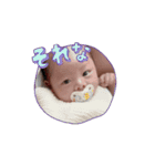 動くさくっちスタンプ（個別スタンプ：9）