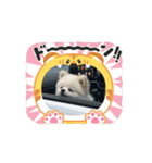 こむぎさん⑤（個別スタンプ：2）