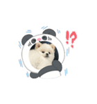 こむぎさん⑤（個別スタンプ：4）