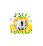 こむぎさん⑤（個別スタンプ：6）