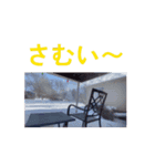 動画パート2（個別スタンプ：8）