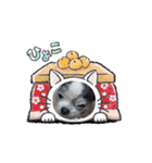 動くcoco＆nuts（個別スタンプ：4）