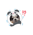 動くcoco＆nuts（個別スタンプ：6）