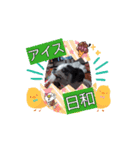 動くcoco＆nuts（個別スタンプ：8）