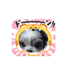 動くcoco＆nuts（個別スタンプ：16）