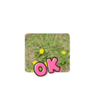 かわいい花のスタンプ（個別スタンプ：5）