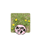 かわいい花のスタンプ（個別スタンプ：15）
