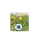 かわいい花のスタンプ（個別スタンプ：16）