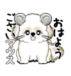 New シーズー犬 2025 「ダジャレ」（個別スタンプ：1）