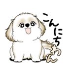 New シーズー犬 2025 「ダジャレ」（個別スタンプ：6）