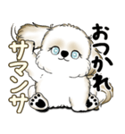 New シーズー犬 2025 「ダジャレ」（個別スタンプ：9）