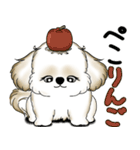 New シーズー犬 2025 「ダジャレ」（個別スタンプ：11）