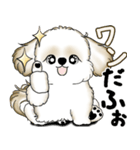 New シーズー犬 2025 「ダジャレ」（個別スタンプ：12）