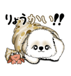 New シーズー犬 2025 「ダジャレ」（個別スタンプ：14）