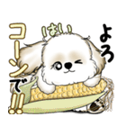 New シーズー犬 2025 「ダジャレ」（個別スタンプ：15）