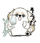 New シーズー犬 2025 「ダジャレ」（個別スタンプ：21）