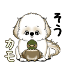 New シーズー犬 2025 「ダジャレ」（個別スタンプ：22）