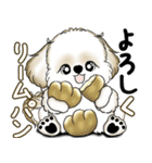 New シーズー犬 2025 「ダジャレ」（個別スタンプ：24）