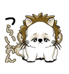 New シーズー犬 2025 「ダジャレ」（個別スタンプ：26）