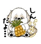 New シーズー犬 2025 「ダジャレ」（個別スタンプ：27）