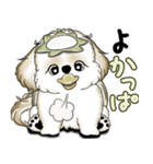 New シーズー犬 2025 「ダジャレ」（個別スタンプ：28）