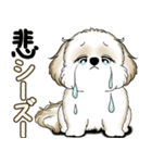 New シーズー犬 2025 「ダジャレ」（個別スタンプ：29）